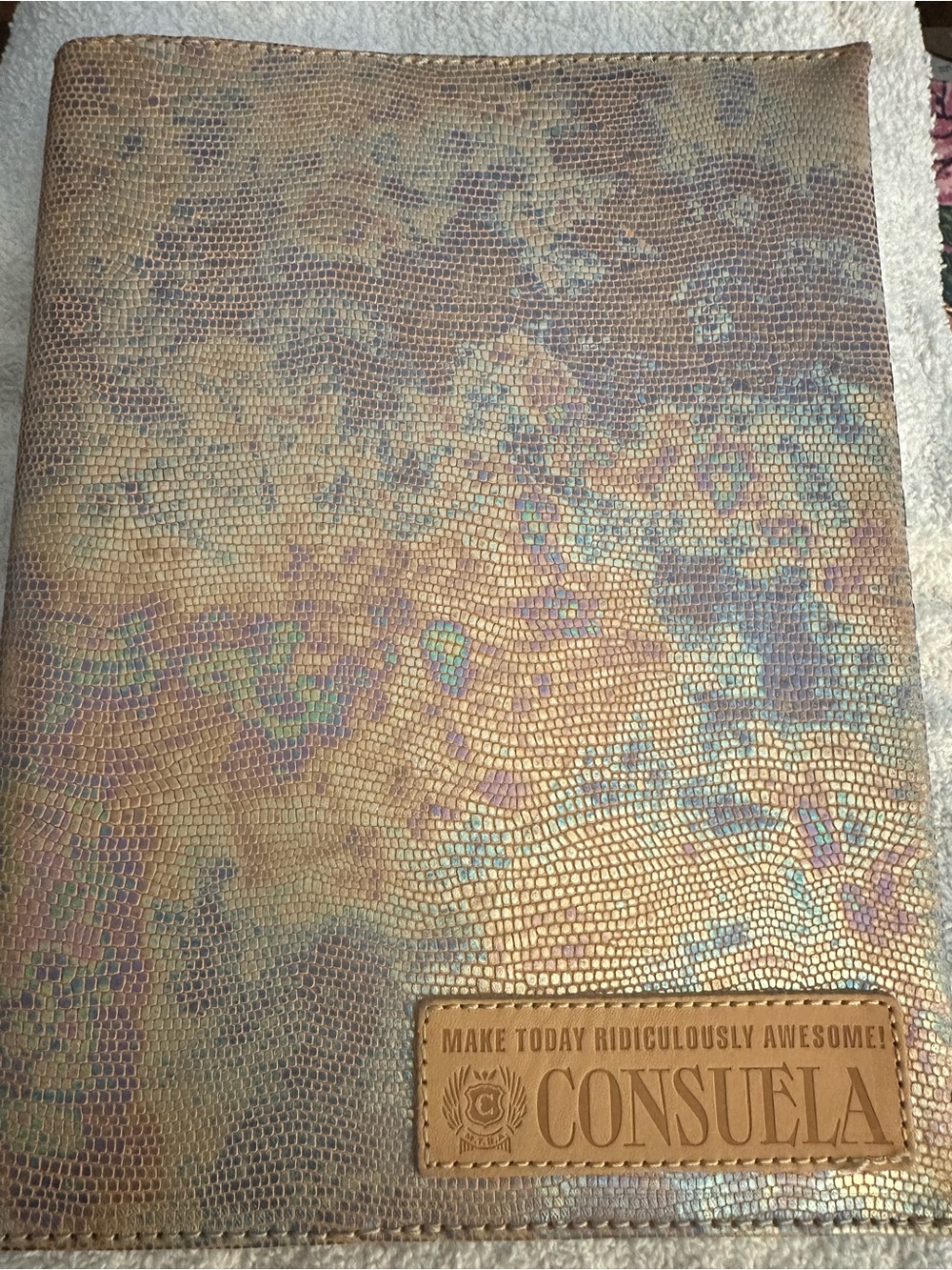 Consuela (Gloria) Textured Iridescent Composition Notebook